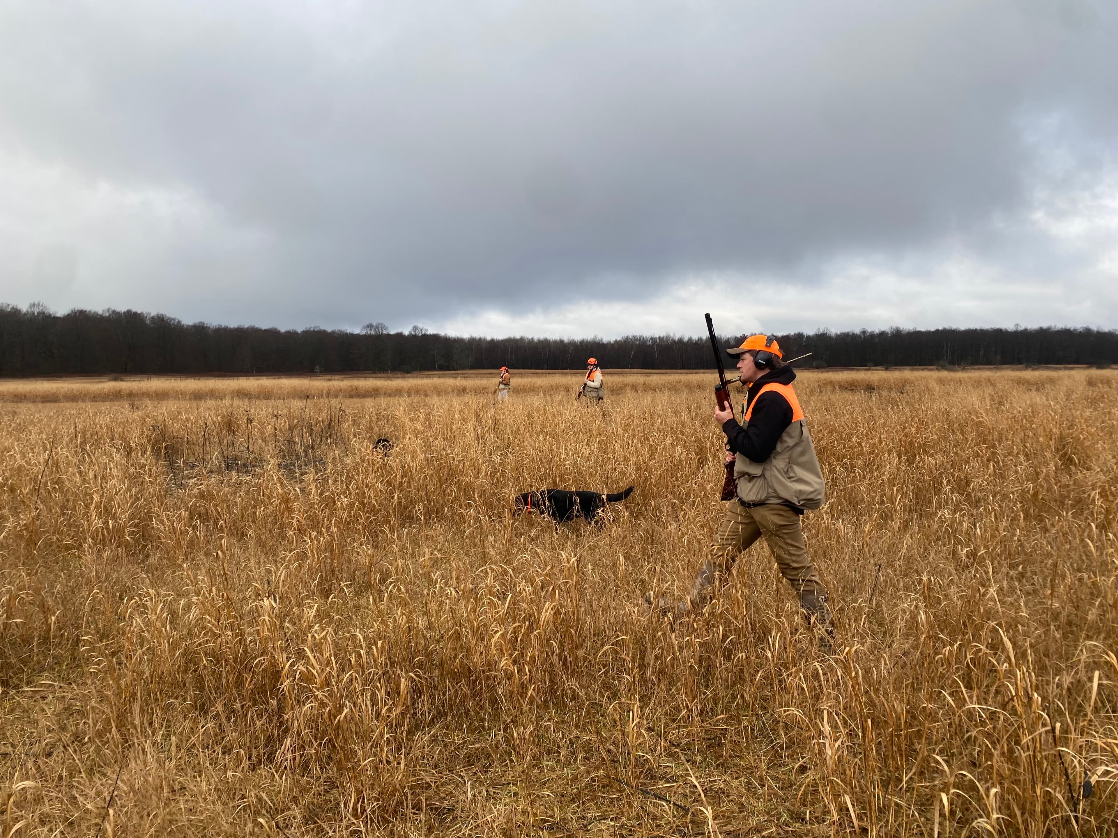 Hunters and dog working through the field